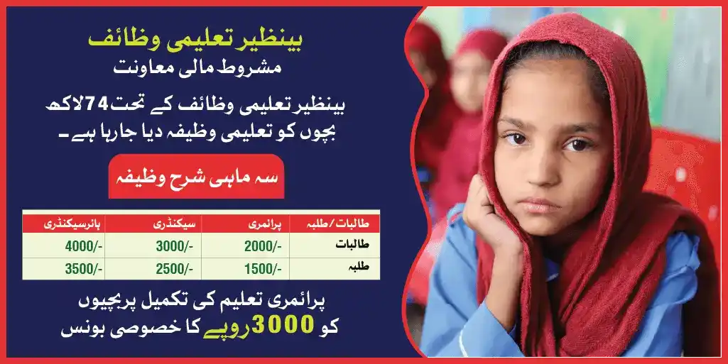 waseela taleem program