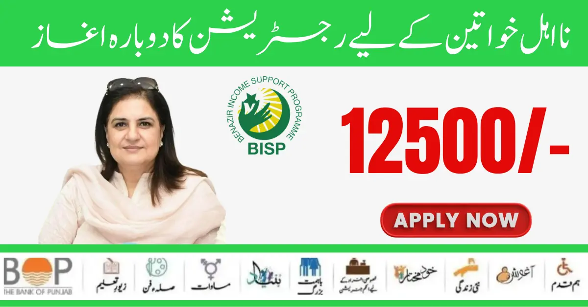 Golden Opportunities Of BISP 8171 Registration Restart