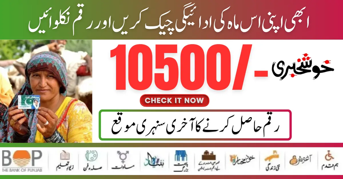 You Can Check Your Benazir Kafaalat Money 10500 Through 2 Easy Method