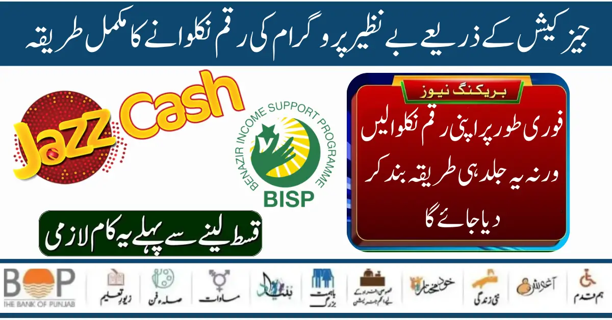 Benazir Income Support Program 10500 Payment Receive Through Jazz Cash Account