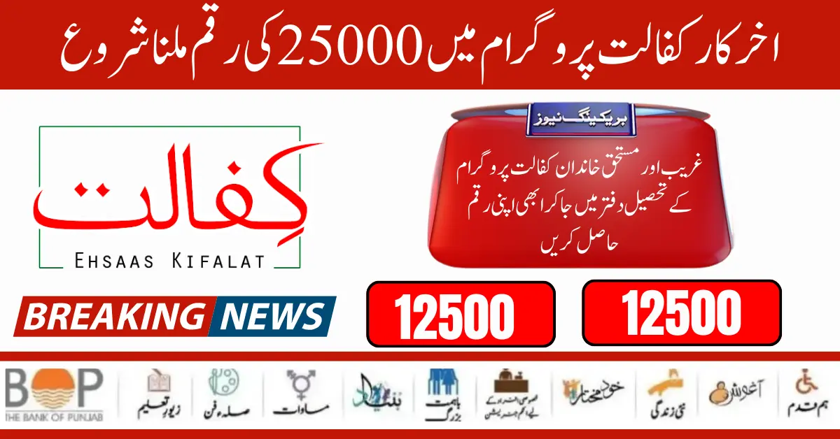 Latest Ehsaas Kafaalat 25000 Payment Check By CNIC Through 8171 Web Portal Form