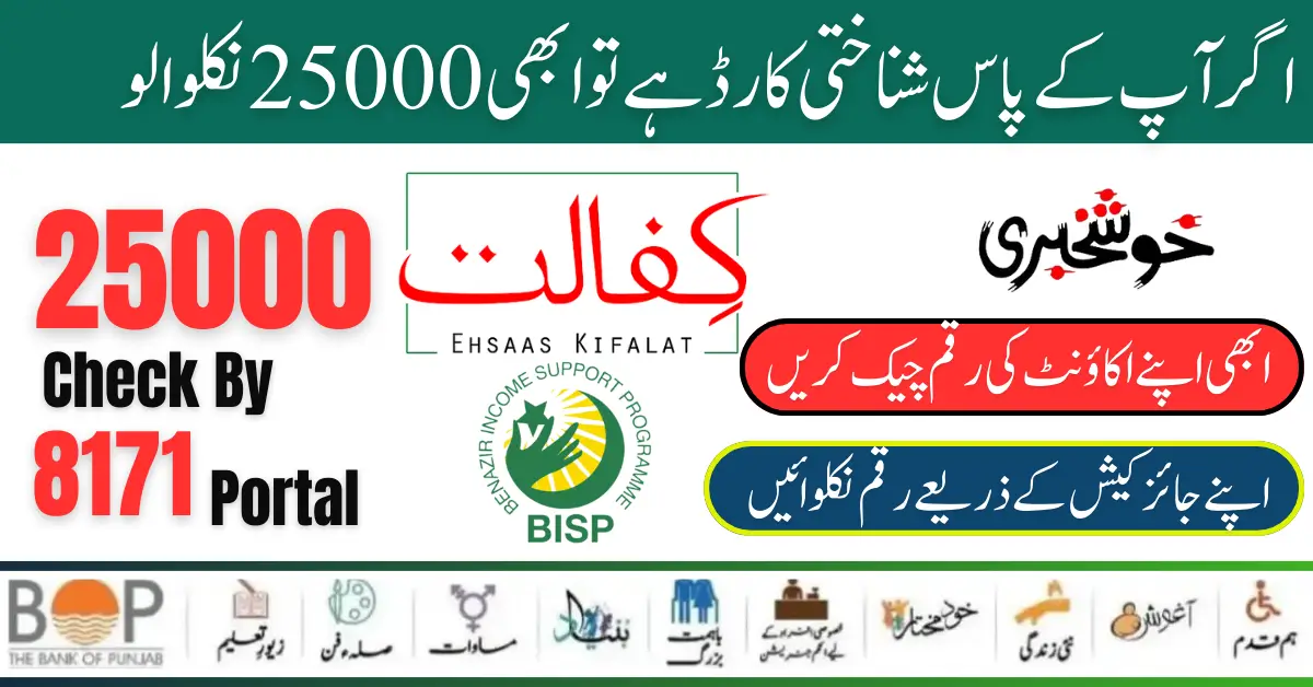 Benazir Kafaalat 25000 Payment Check By CNIC Through 8171 Portal