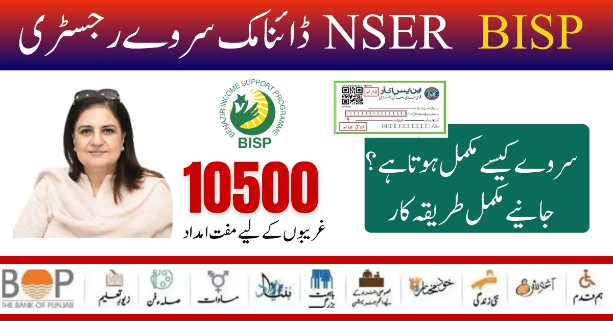 BISP NSER Dynamic Survey Registry Complete Detail For Ineligible Candidates 2024