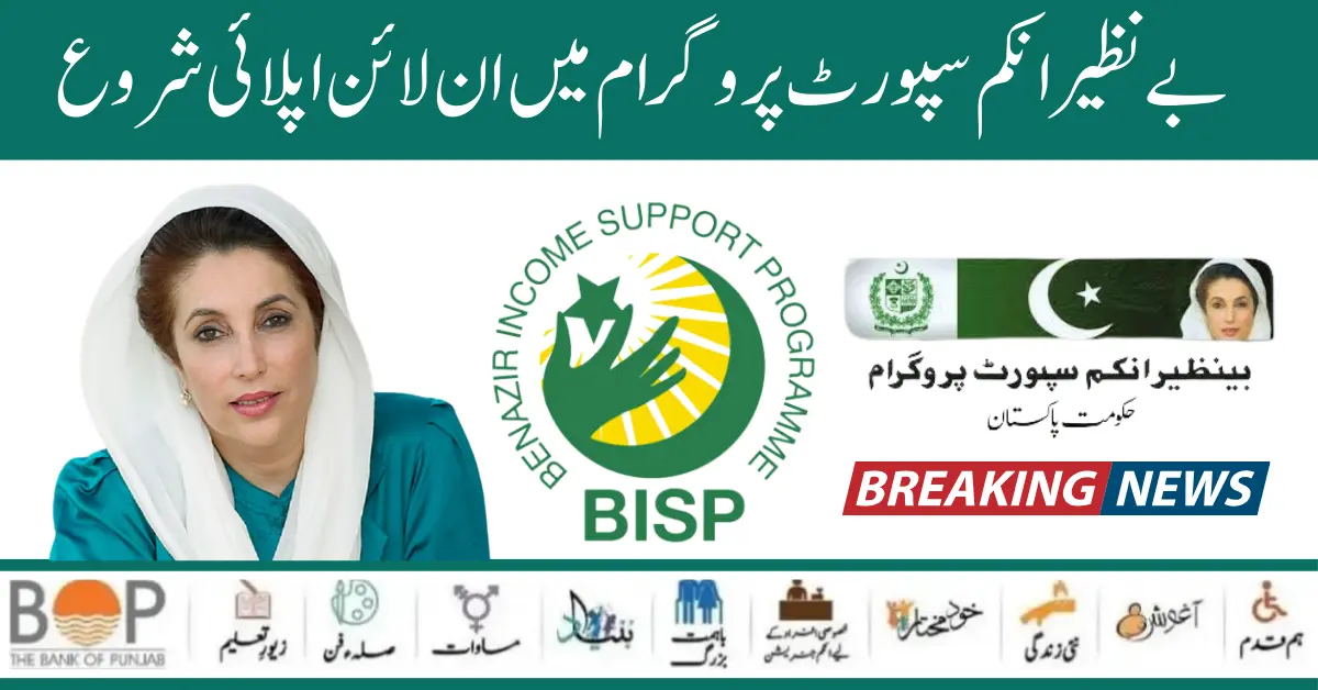 How to Apply By 8171 SMS Method Online Registration Process Start BISP Program