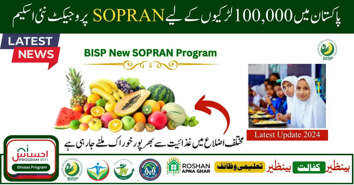 BISP New SOPRAN Project