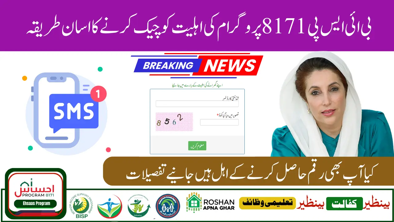 BISP 8171 Payment Verification Process